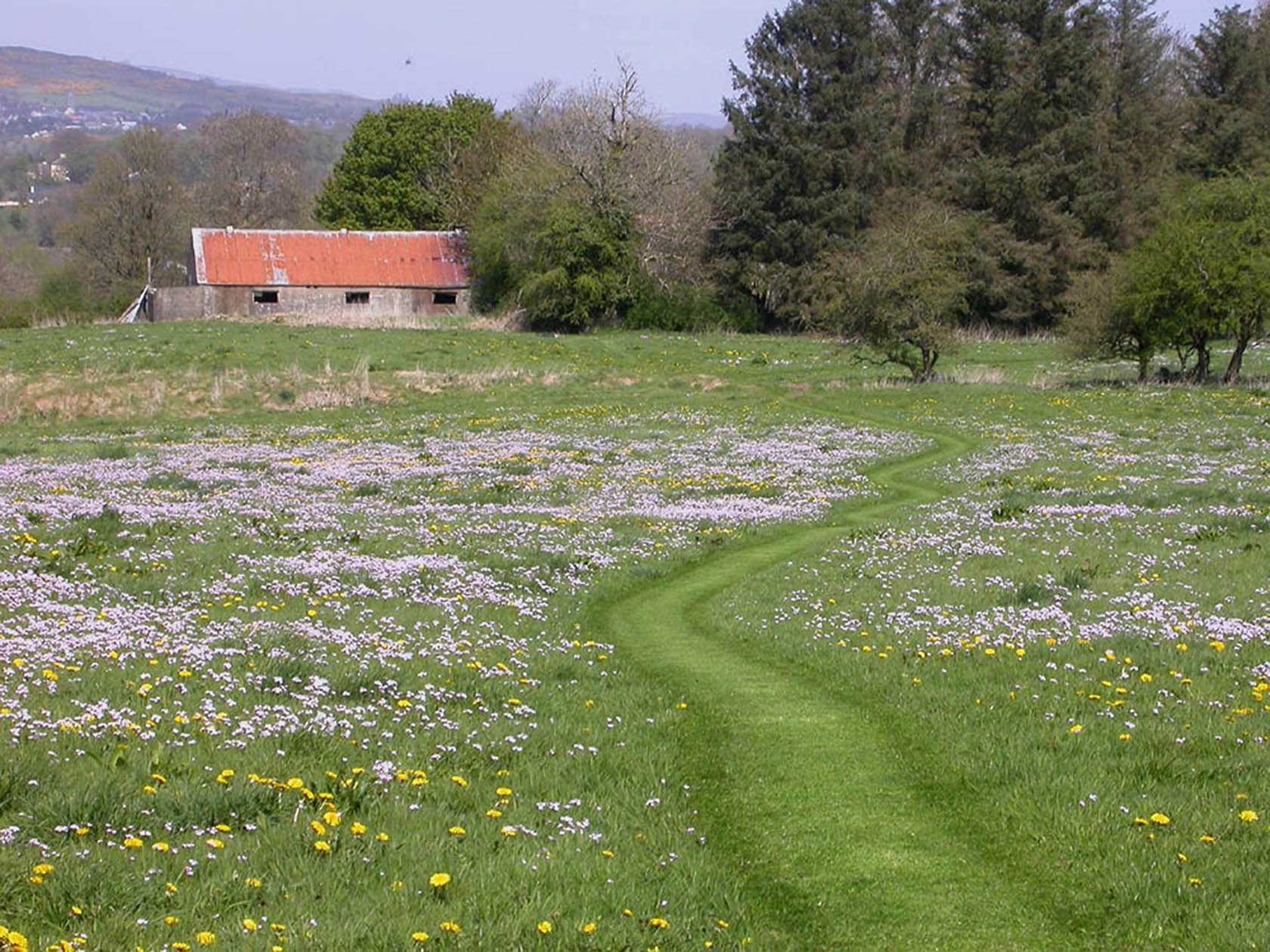 Carnowen Plantation 1